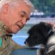 Phillip Falls in Love With Rescue Puppy & Gets Distracted | This Morning