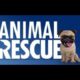 Rescue operation | Animal Rescue operation | Kumar Sunny Videos