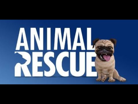 Rescue operation | Animal Rescue operation | Kumar Sunny Videos