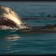 Shark Attack 01 - Shark vs Shark - Dangerous Animals