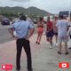 Street Fight Compilations Hood Brwel Wshh Fights Girl Hood Fighting Ghetto Fights