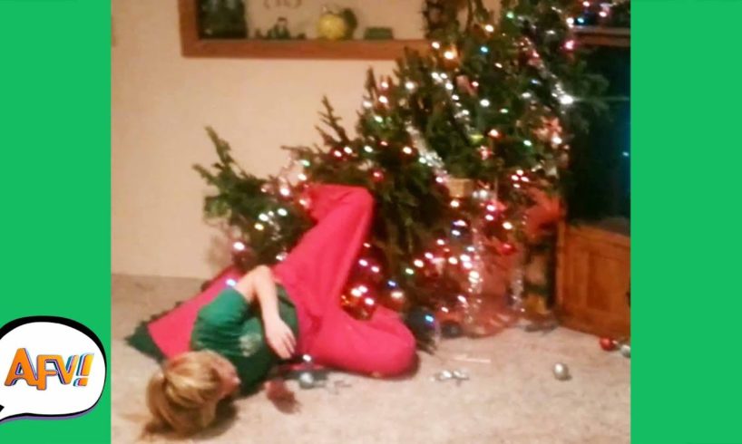 TREE-MENDOUS Holiday FAILS! ? ? | Fails of the Week | AFV 2020