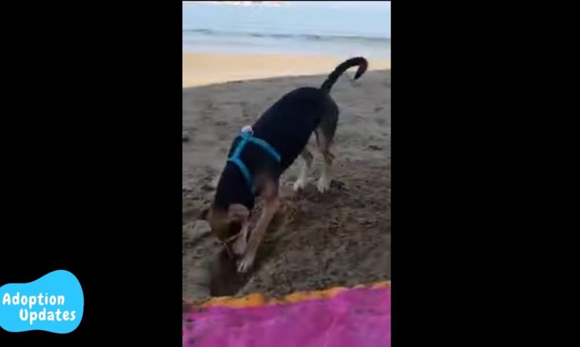 Takilina is back in Crete enjoying the beaches!! - Takis Shelter