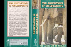 The Family Life of Animals: The Adventures of Childrearing (1998 UK VHS)