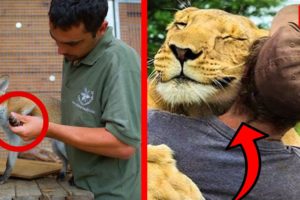 Top 10 Most Inspiring Animal Rescues