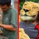 Top 10 Most Inspiring Animal Rescues