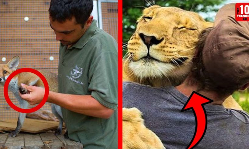 Top 10 Most Inspiring Animal Rescues