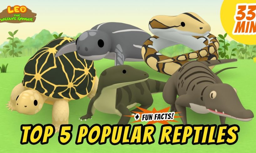 Top 5 Popular Reptiles - Animals Stories for Kids | Educational | Leo the Wildlife Ranger
