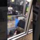 White people fighting inside a restaurant! #whitelivesmatter #viral #hoodfights #funny