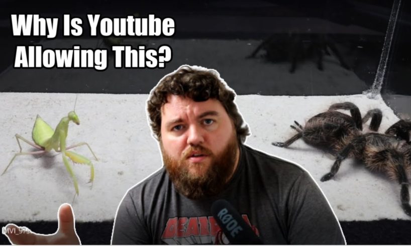 Youtube Is Promoting Animal Fighting!