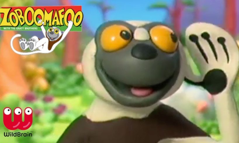 Zoboomafoo | Play Games at the Zoo!  | Episode Animals For Kids