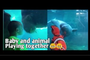 baby and animal playing together 🤣🤣 | baby and animal funny video | we are top