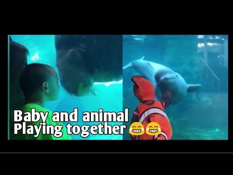 baby and animal playing together 🤣🤣 | baby and animal funny video | we are top