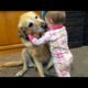 funny videos | animals playing with babies | funny monkeys | funny dogs and cats