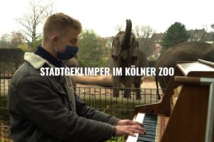 "Animals and the power of music" - Stadtgeklimper im Kölner Zoo