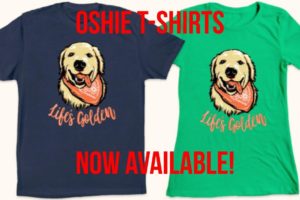 "LIFE'S GOLDEN" OSHIE TEEs SUPPORTING DOG RESCUES! | Oshies World