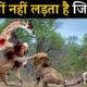 इन जानवरों की लड़ाई दैत्यों की लड़ाई से कम नहीं || Animal Fights Caught On Camera || Lion vs Giraffe