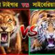 কে জিতবে SIBERIAN TIGER vs SABER TOOTHED TIGER | Most Powerful Animal Fight - Who Would Win ?