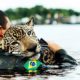 10 MOST INSPIRING ANIMAL RESCUES