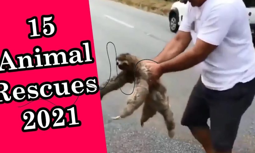 😸15 Most Inspiring Animal Rescues 2021 🐶