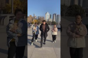 Cute baby animals Videos Compilation of the animals - Cutest Puppies #Animals #Cute #Dogs #Shorts