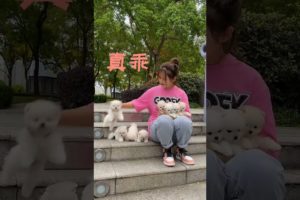 Cute baby animals Videos Compilation of the animals - Cutest Puppies #Animals #Cute #Dogs #Shorts