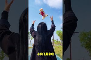 Cute baby animals Videos Compilation of the animals - Cutest Puppies #Animals #Cute #Dogs #Shorts