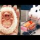 AWW SO CUTE! Cutest baby animals Videos Compilation Cute moment of the Animals - Cutest Animals #19