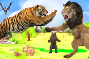 Lion VS Tiger - Who will win in a fight ? 3d Animal Fights Videos  Wild Animal Epic Battle