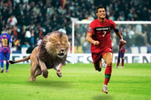 35 Times Animals Invaded Sports Field