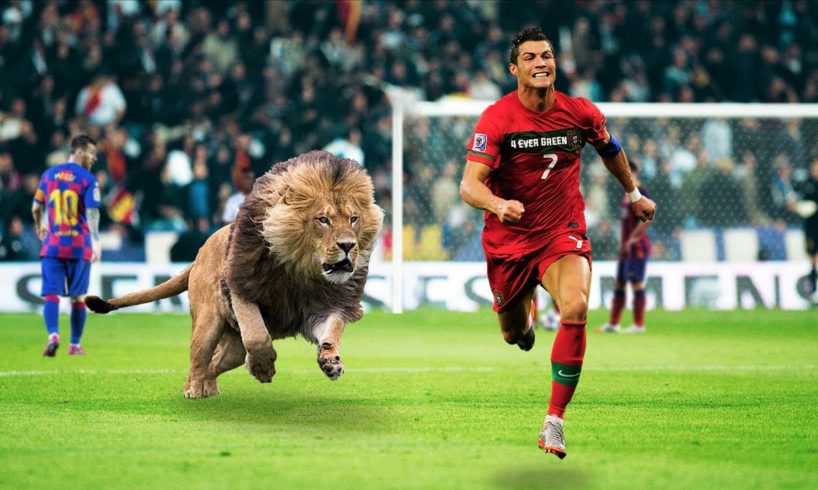 35 Times Animals Invaded Sports Field