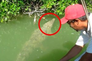 5 Near Death Experiences with Crocodiles That'll Leave You Speechless