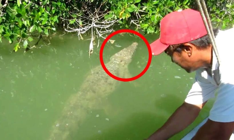 5 Near Death Experiences with Crocodiles That'll Leave You Speechless