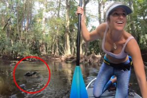 6 Crocodile Encounters You Should Avoid Watching (Part 5)