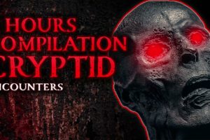 9 HOURS OF HORROR - CRYPTID ENCOUNTERS COMPILATION