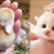 AWW Animals SOO Cute! OMG Cute baby animals Videos Compilation Cutest moment of the animals #3