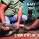 Ajay Giri rescues a big King cobra in Agumbe (India), filmed by Living Zoology, Snake Rescue Call