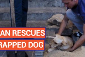 Amazing Man Rescues Trapped Dog Puppy Video 2017