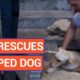 Amazing Man Rescues Trapped Dog Puppy Video 2017