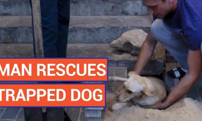 Amazing Man Rescues Trapped Dog Puppy Video 2017