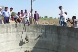Amazing! Man rescues two Leopard cub that fell into a well