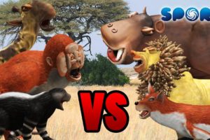 Animal Fight Club 2 | SPORE