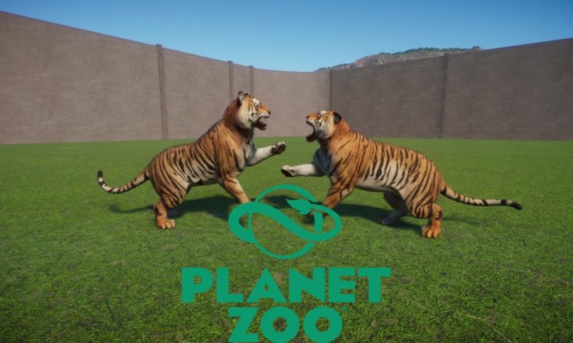 Animal Fights In Planet Zoo | Part 1