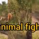 Animal Fights caught to the death