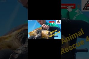 Animal Rescue 43