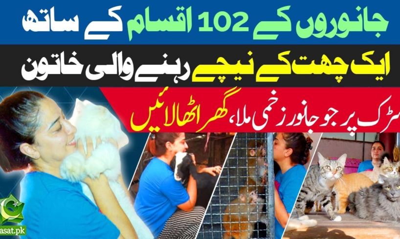 Animal Rescue in Pakistan: Meet Anila who is living with 102 animals in her house, that she rescued