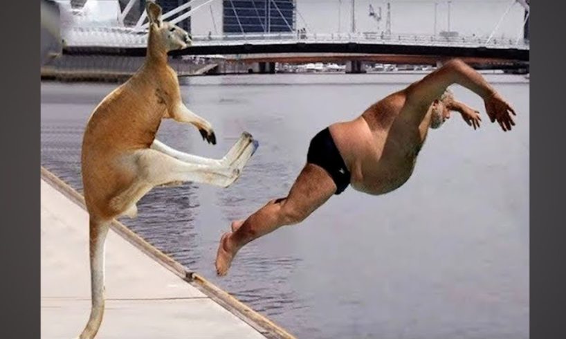 Animals Filmed Having HUMAN-Like IQs #2