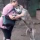 Animals Reunited With Owners AFTER YEARS!