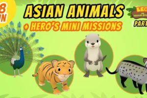 Asian Animals (Part 4/7) - Junior Rangers and Hero's Animals Adventure | Leo the Wildlife Ranger