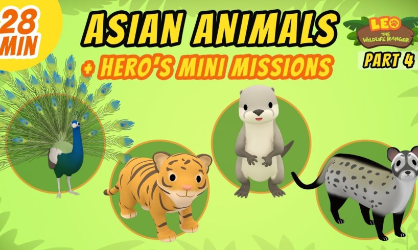 Asian Animals (Part 4/7) - Junior Rangers and Hero's Animals Adventure | Leo the Wildlife Ranger